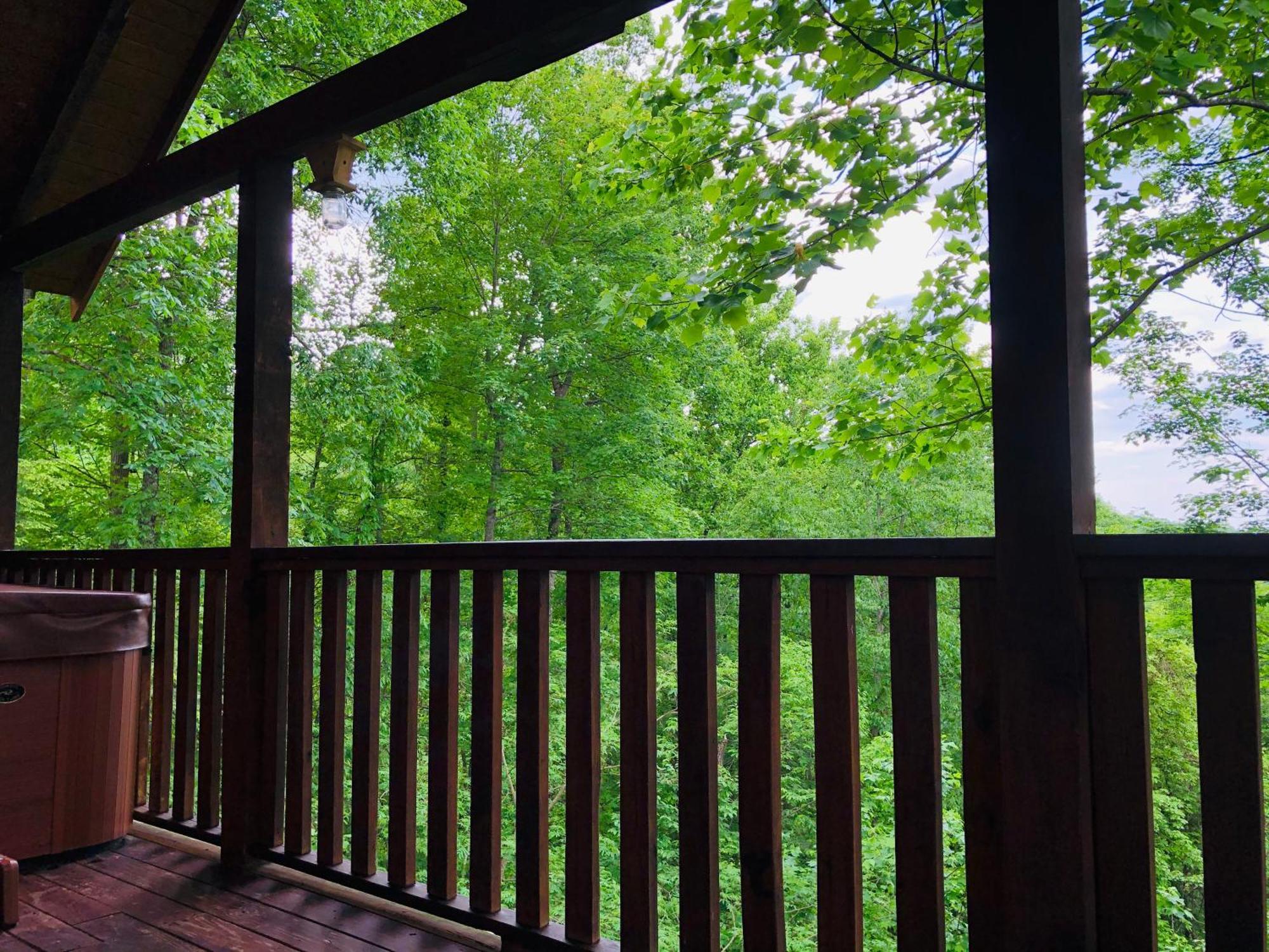 Black Bear Cove Gatlinburg Zewnętrze zdjęcie