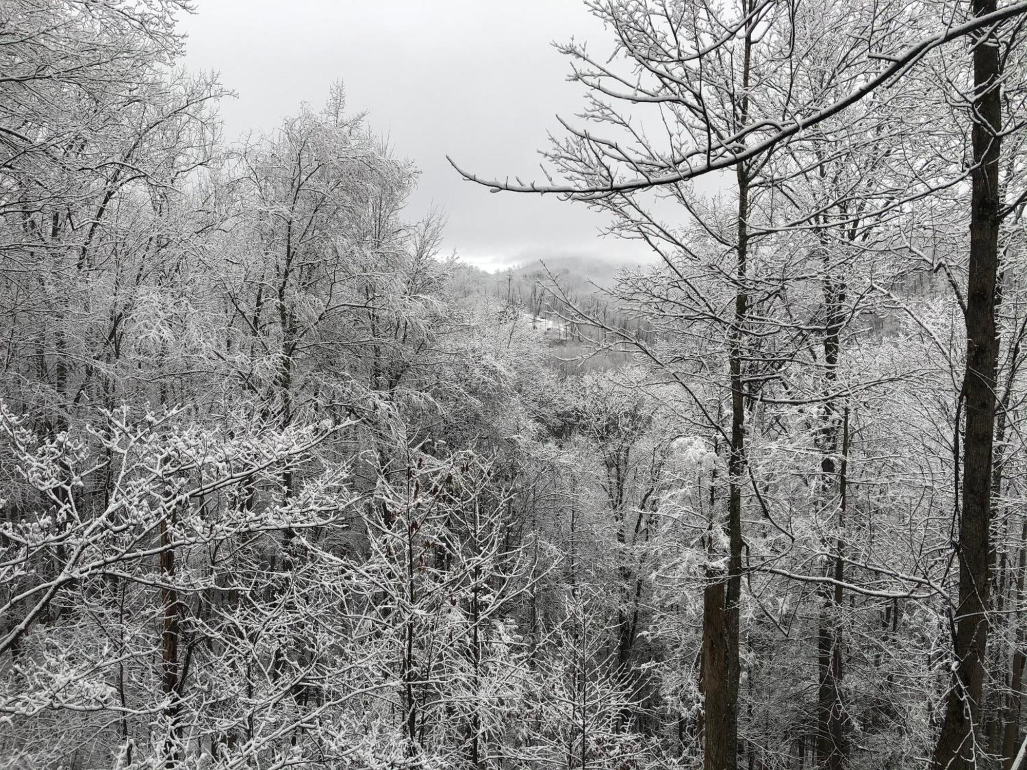 Black Bear Cove Gatlinburg Zewnętrze zdjęcie