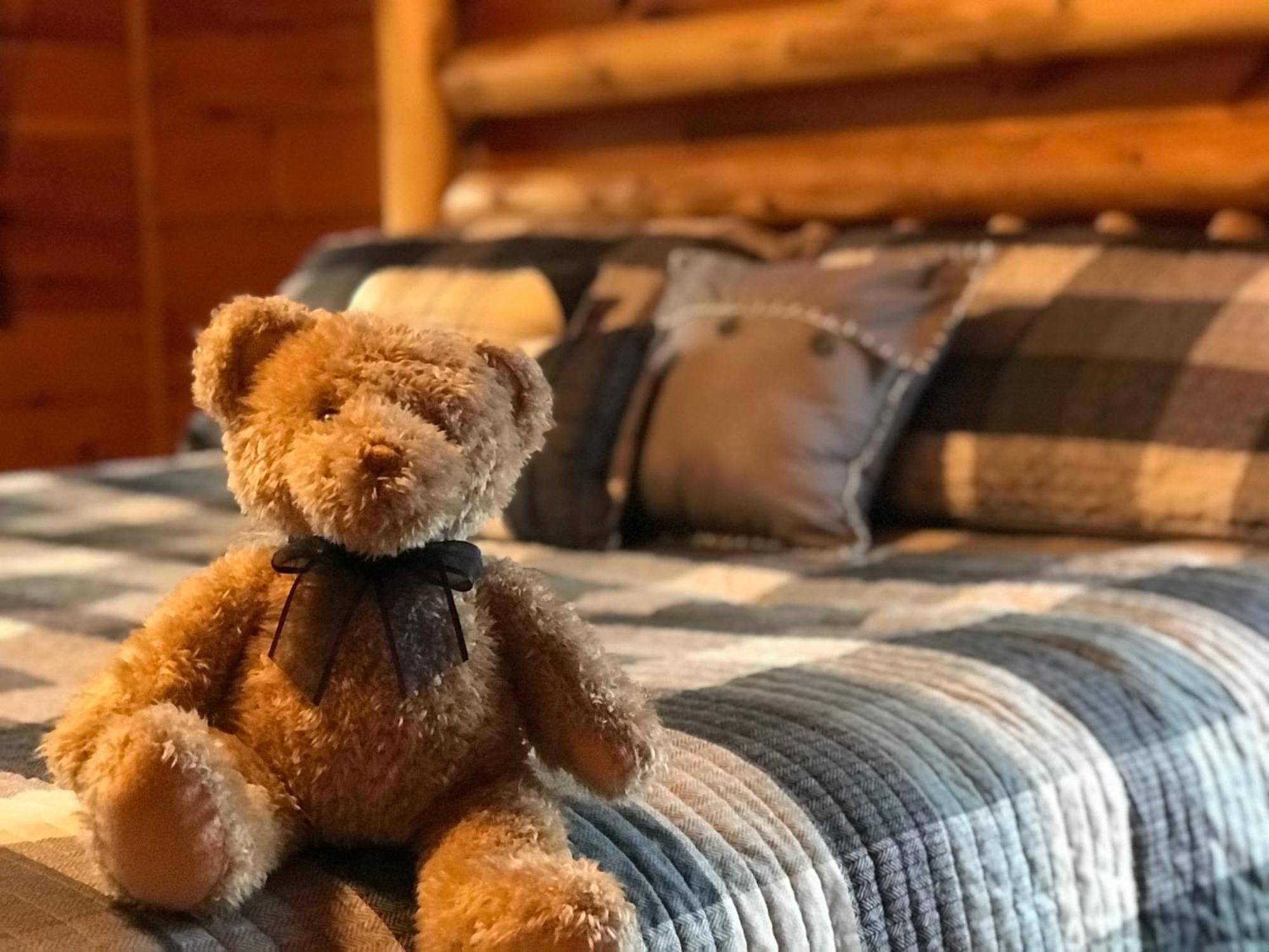 Black Bear Cove Gatlinburg Zewnętrze zdjęcie