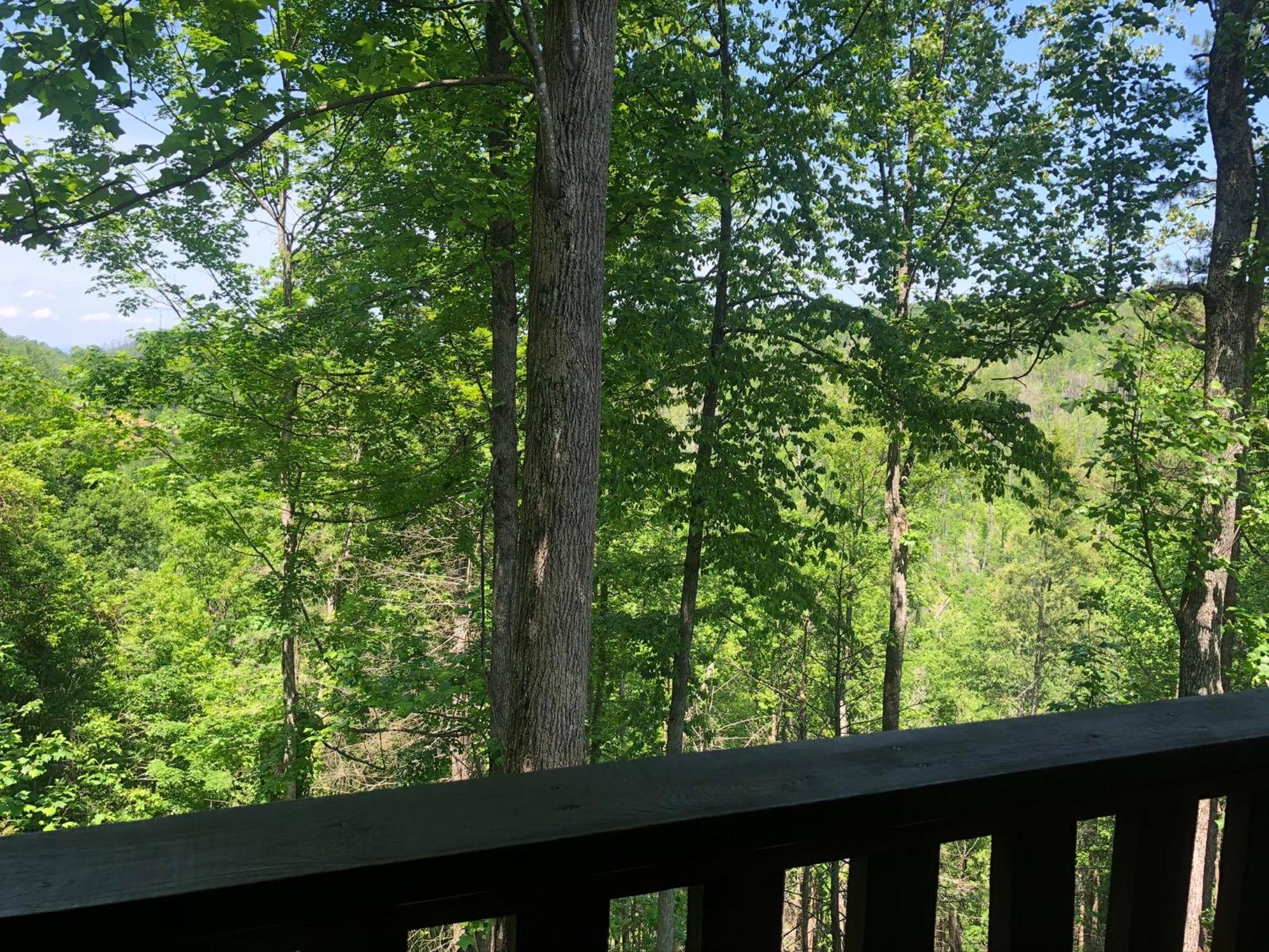 Black Bear Cove Gatlinburg Zewnętrze zdjęcie